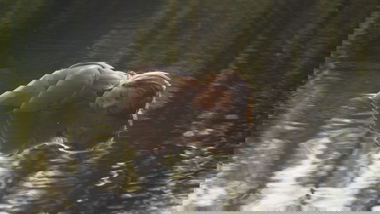The Restoration