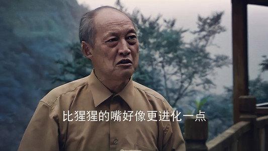 北纬31°录像带
