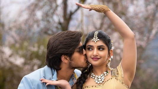 పెళ్లి సందD