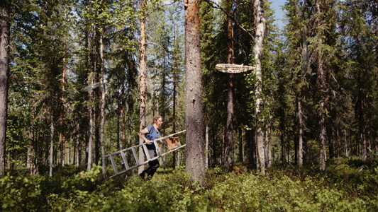 Harju auringossa