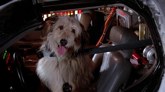 Back to the Future