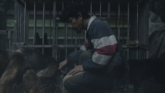 白衣蒼狗