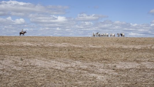 Querência