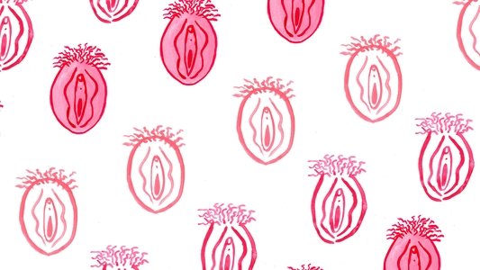 Le Clitoris