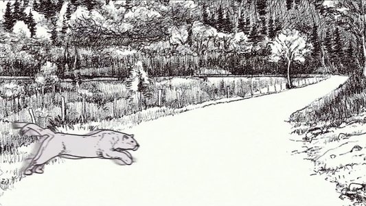 Puma, le fantôme du Gévaudan
