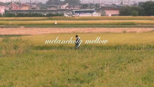 melancholy mellow
