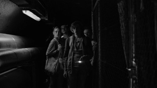The Life Underground