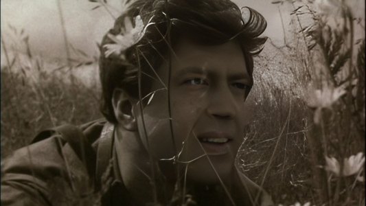 Неизвестный солдат