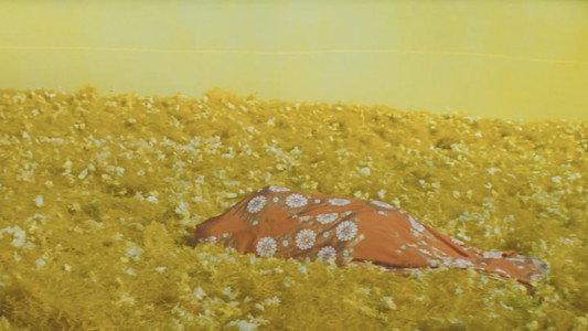 恋や恋なすな恋