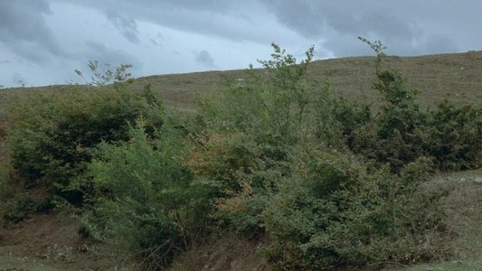 خانه‌ی دوست کجاست؟