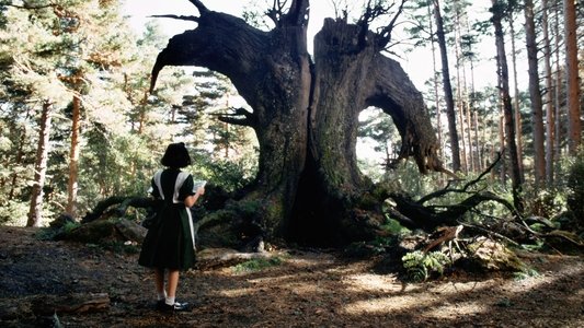 El laberinto del fauno