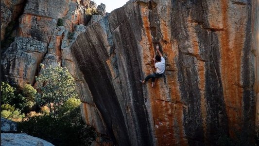 Uncharted Lines
