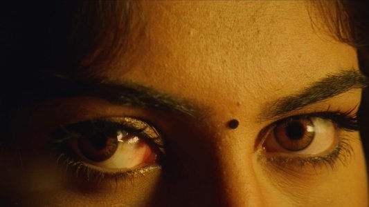 விசில்