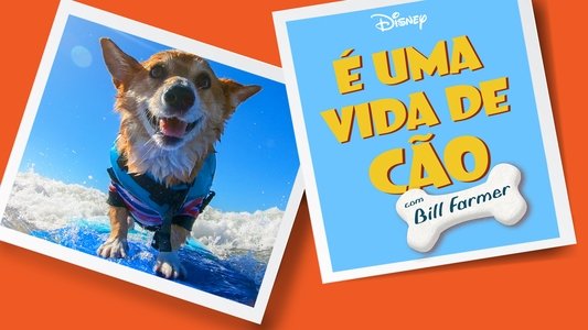 It's a Dog's Life with Bill Farmer