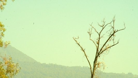 Percepción