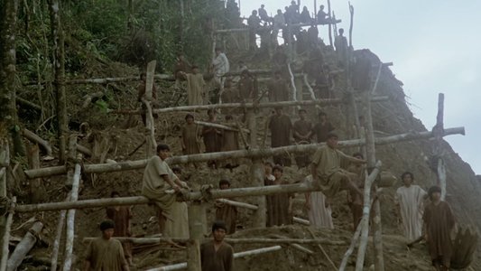 Fitzcarraldo