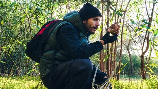 O Intrépido Explorador