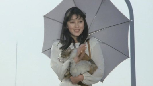 時代屋の女房