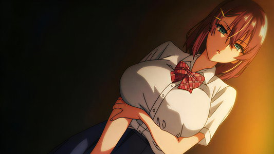 四季の花シリーズ