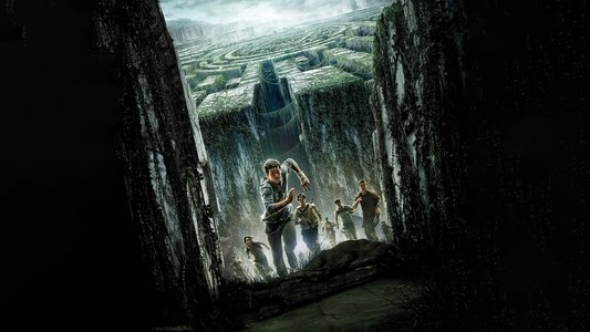 The Maze Runner
