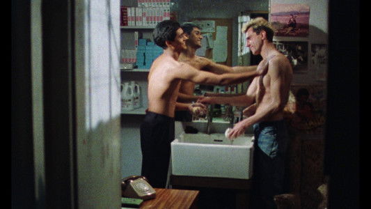 My Beautiful Laundrette