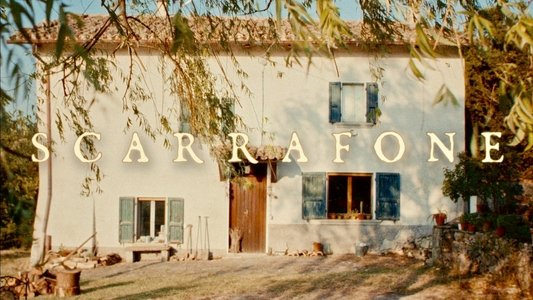 Scarrafone