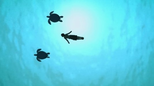 La tortue rouge