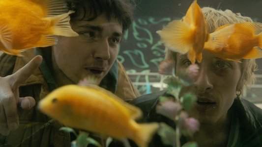 Илья и Захар: Масленица на пределе
