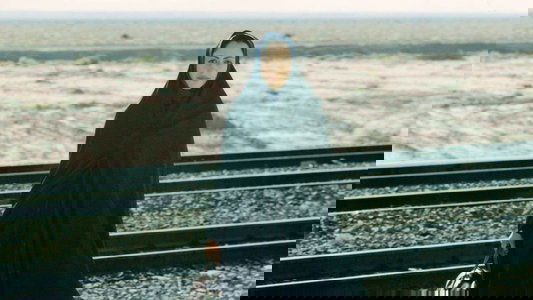 پروانه‌ای در باد