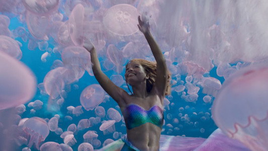 The Little Mermaid