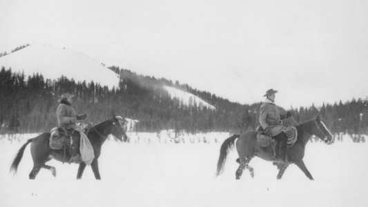 Day of the Outlaw