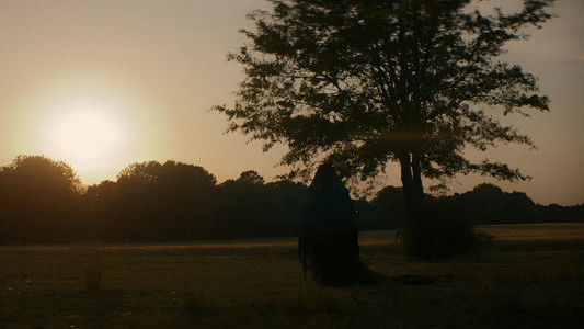 The Woman in the Yard