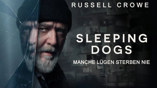 Sleeping Dogs