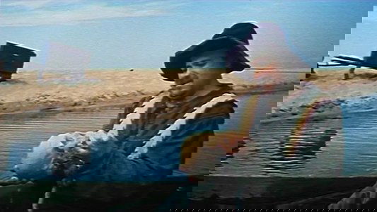 Сказка, рассказанная ночью