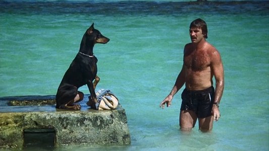 Magnum, P.I.