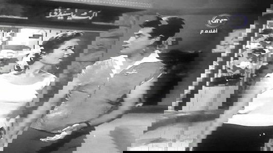 مملكة النساء