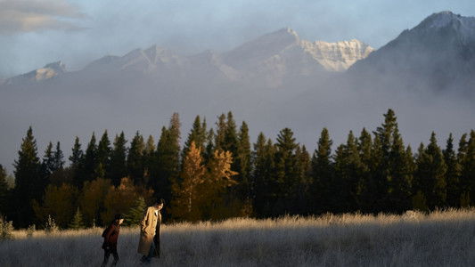 이 사랑 통역 되나요?