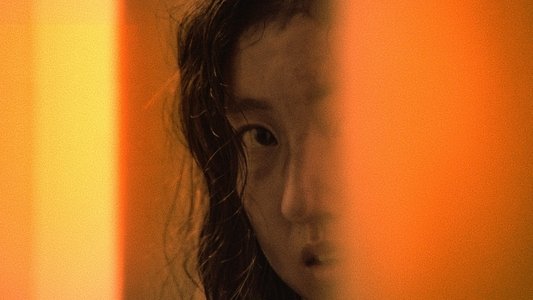 지느러미