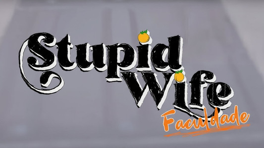 Stupid Wife
