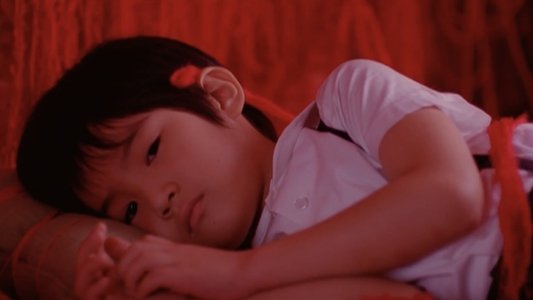 아카시아