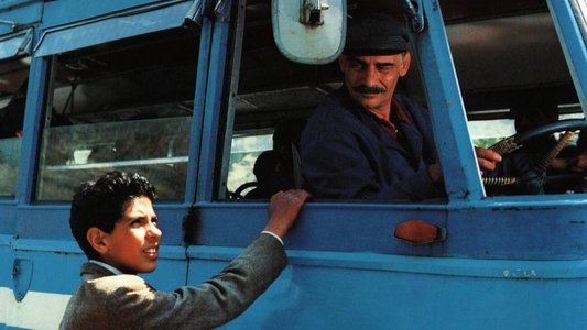 Un ragazzo di Calabria
