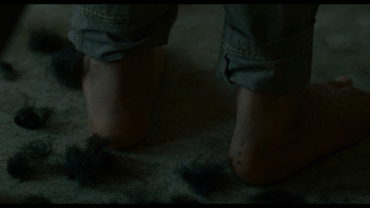 Incendies