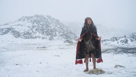 El Guardián de Los Andes