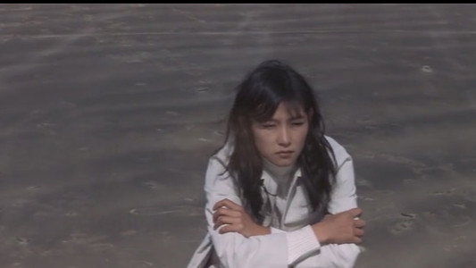 少女娼婦 けものみち