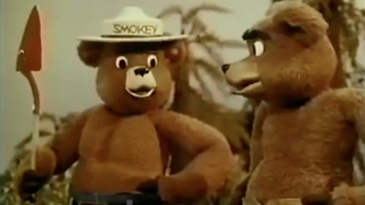 Ballad of Smokey the Bear
