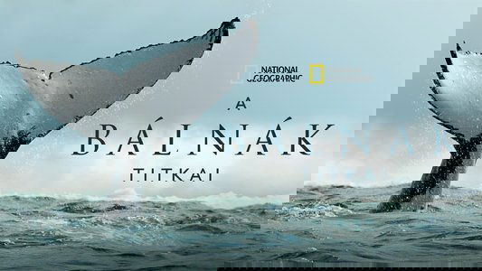 Secrets of the Whales