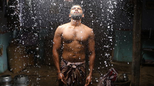 பைசன் காளமாடன்