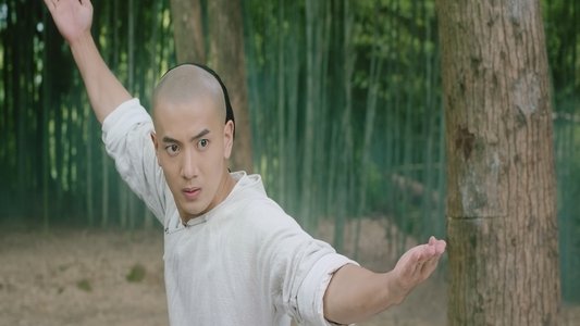 黄飞鸿之狮魂觉醒