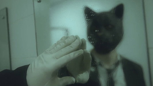 Cat Face