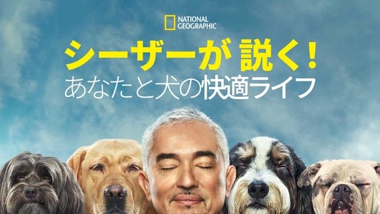 Cesar Millan: Better Human, Better Dog